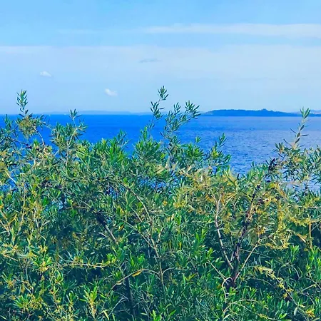 Nissaki Artemis By Sealand Daire