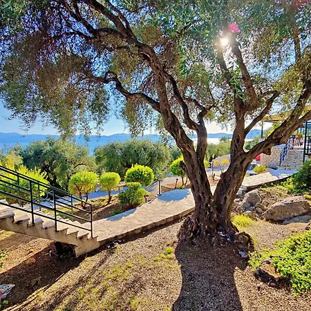 Nissaki Artemis By Sealand *